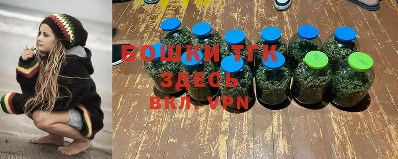 Конопля SATIVA & INDICA  Реутов 